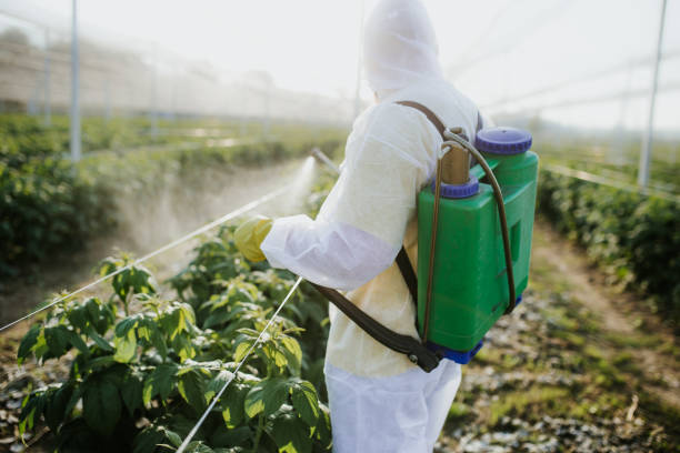 Best Exterminator Services  in East Norwich, NY